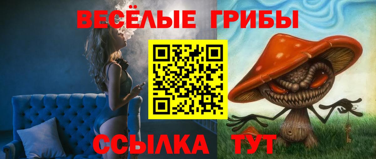 Псилоцибиновые грибы Cubensis  Вход с VPN  Пушкино 